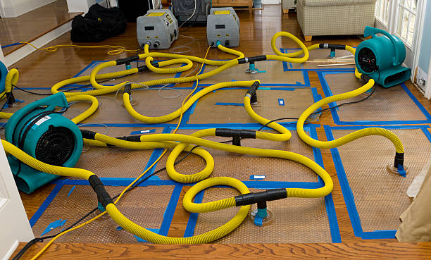 Professional Burst Pipe Water Damage technician working in Wren, OH